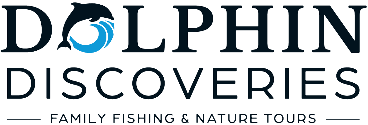Dolphin Discoveries Hilton Head