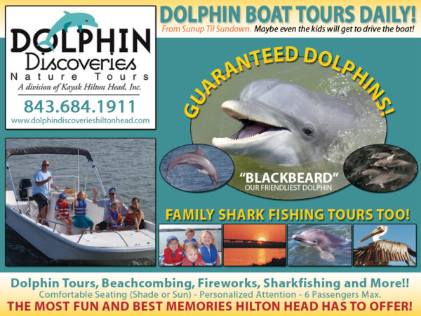 hilton head dolphin tours