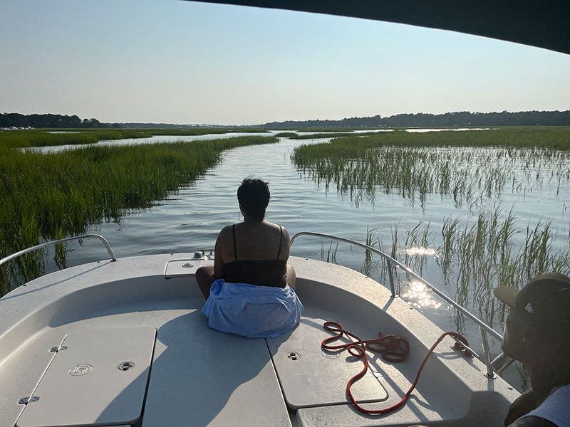 daufuskie island dolphin tours